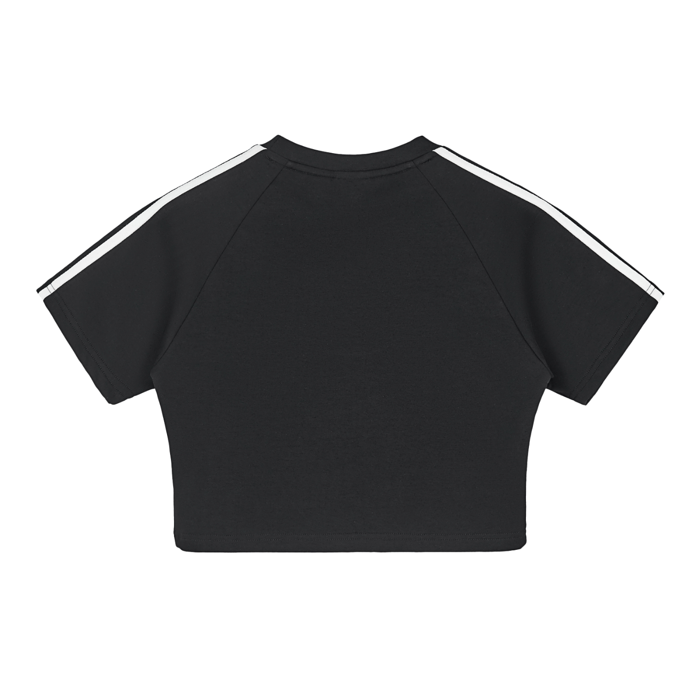 WOMEN - Performance Crop Top : CASANOVA